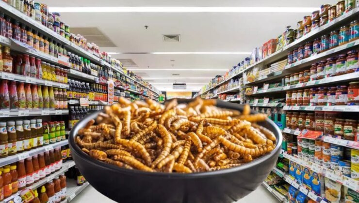 AB, Ultraviyole işlem görmüş un kurdu larvasını gıda olarak onayladı