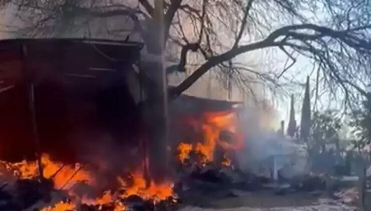 Adana’da çiftlik yangını: 70 hayvan telef oldu