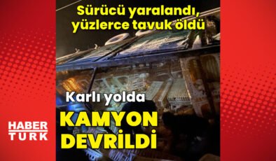 Bolu’da kamyon devrildi, yüzlerce tavuk öldü