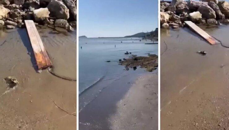 Ege’deki depremler sonrası İzmir’den gelen görüntü tedirgin etti