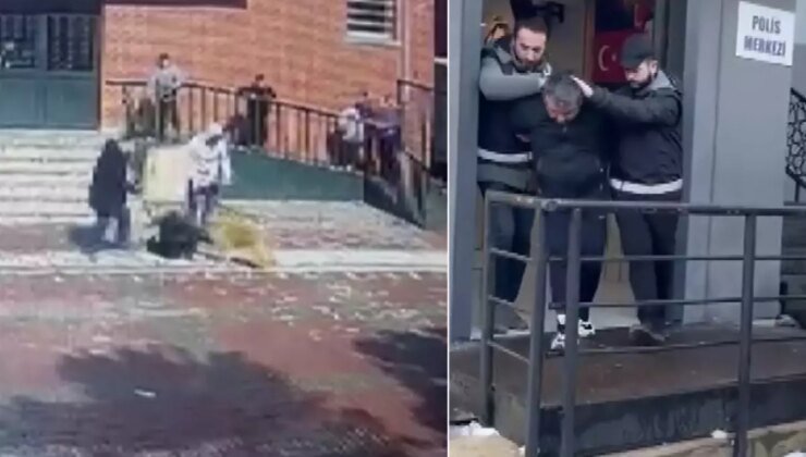 Okul bahçesine giren köpek 6 kişiyi ısırdı, sahibi tutuklandı