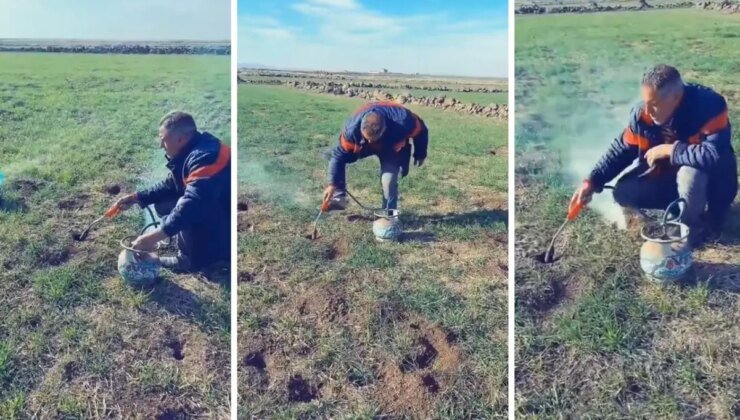 Tarlasındaki farelerden kurtulmak isteyen çiftçinin yöntemi tartışma yarattı