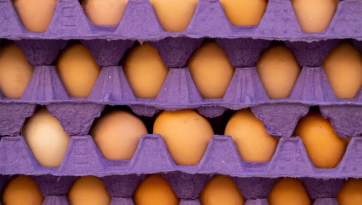 ABD Tarım Bakanı ülkedeki yumurta krizi eleştirilerini "Türkiye" açıklamasıyla yanıtladı