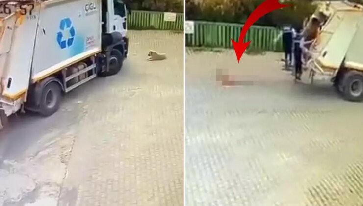 Çöp kamyonunun altında kalan sokak köpeği öldü