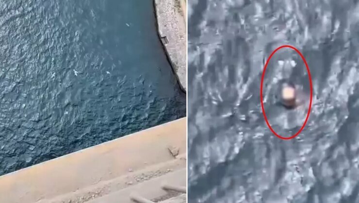 Fatih Sultan Mehmet köprüsünden atlayarak intihar etti