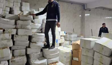 11 ton kurtlanmış ceviz ele geçirildi