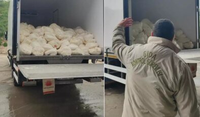 23 ton tarihi geçmiş lor peyniri ele geçirildi