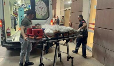 Adıyaman’da Otomobil ile Kamyonet Çarpıştı: 4 Yaralı