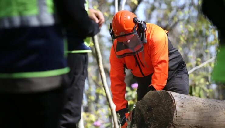 Akçakoca’da Orman İşletme Şefliği Eğitim Tatbikatı Gerçekleşti