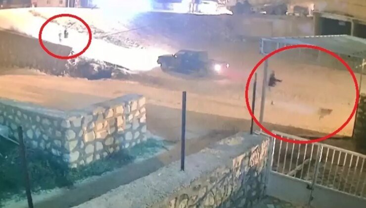 Aracına havlayan köpeğe çocukların gözü önünde kurşun yağdırdı