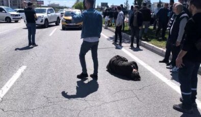 Batman’da Otomobilin Çarptığı 2 Kadın Yaralandı