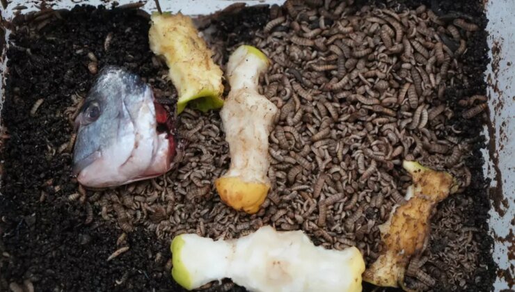 Devrim niteliğinde buluş! ‘Siyah asker’ olarak anılıyor, yeni dönemi başlatacak