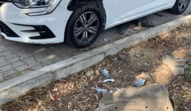 Fethiye’de Domuz Sürüleri Otomobili Parçaladı