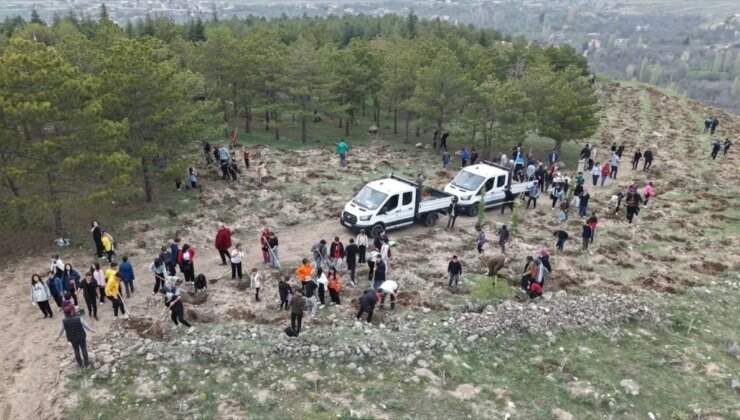 Kayseri’de 3 Bin Fidan Toprakla Buluştu