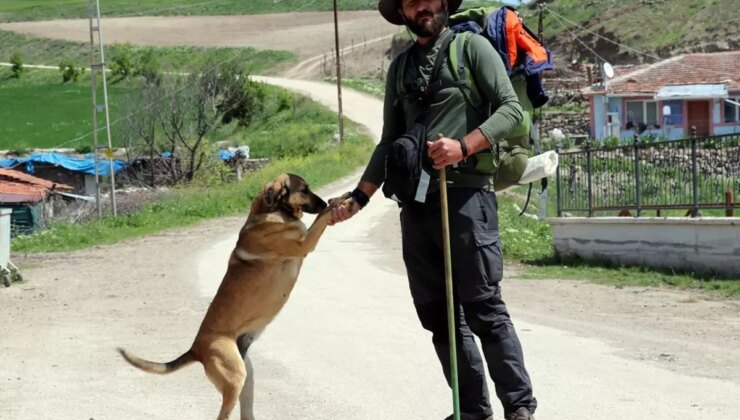 Köpeği ‘Yoldaş’ ile 3,5 yıldır şehir şehir gezerek fidan dikiyor