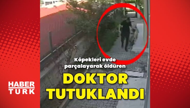 Köpekleri evde parçalayarak öldüren doktor tutuklandı