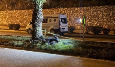 Motosikletle ağaca çarpan tıp fakültesi öğrencisi hayatını kaybetti
