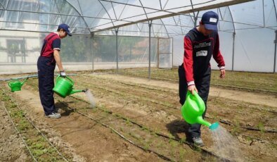 Osmancık’ta Sera Projesi Açılışı ve Kuşkonmaz Fidesi Dikimi Yapıldı