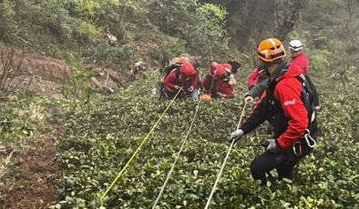 Rize’de kestiği ağacın altında kalan muhtar öldü