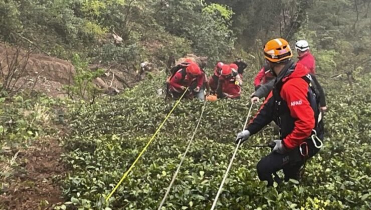 Rize’de kestiği ağacın altında kalan muhtar öldü