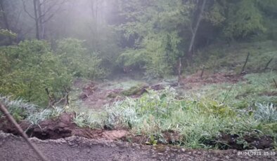 Uçuruma yuvarlanan araçta 2 kişi hayatını kaybetti