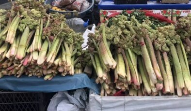 Ünü ABD’ye kadar yayıldı! 300 liraya satılıyor, kanserin yeni ilacı