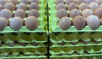 Yumurta satışlarında yeni düzenleme için hazırlık yapılıyor
