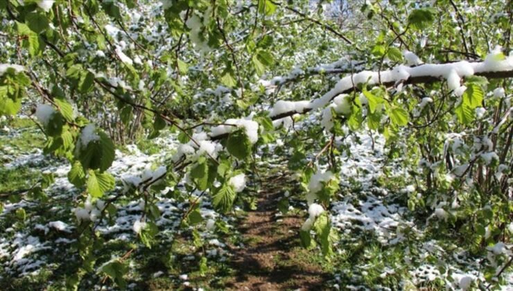 Ziraat Mühendisleri Odası Başkanı Baki Remzi Suiçmez: “Şu anda donun yanında bir de yüksek gıda enflasyonu var”