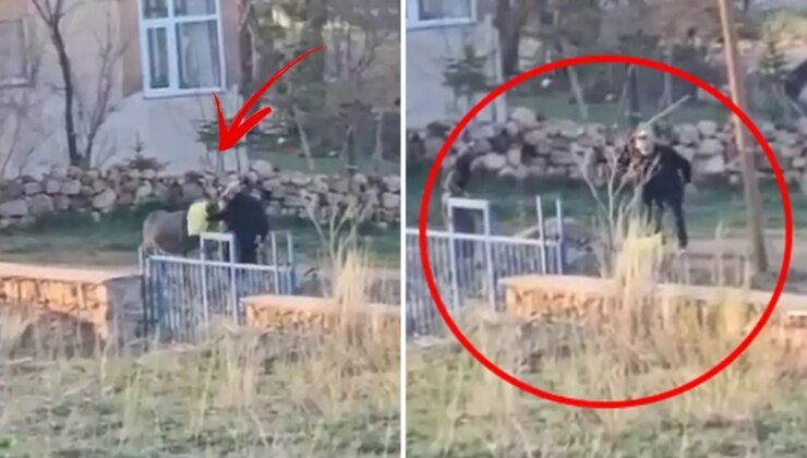 80 yaşındaki adam başına çuval geçirdiği eşeğe sopayla eziyet etti