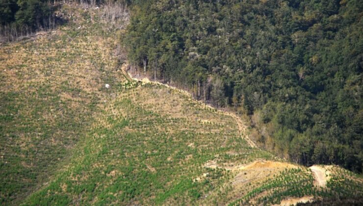 Bakan Kurum’dan 2B açıklaması