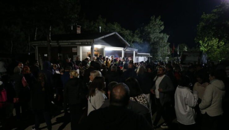 Barınakta köpeklerin öldürüldüğü iddiasına yanıt