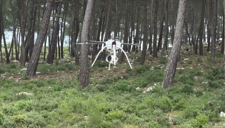 Bodrum’da Orman Yangınlarıyla Mücadele İçin Denetim Başlatıldı