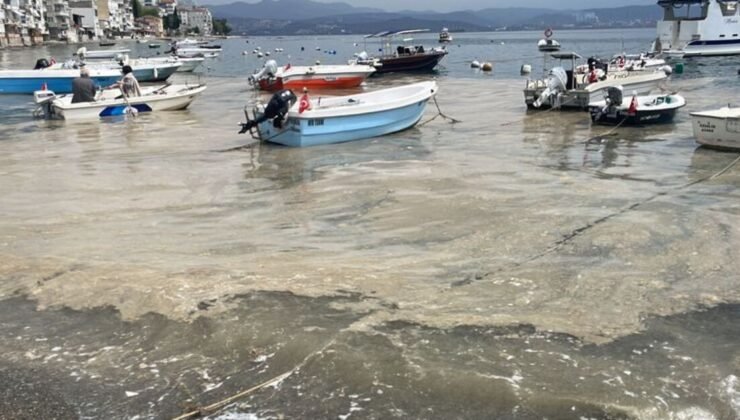 Bursa kıyılarında müsilaj görüldü