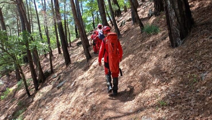 Çanakkale’de doğa yürüyüşünde müdür yardımcısı kayboldu