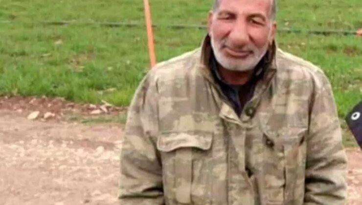 Ceylanpınar’da Koyun Otlatan Adama Otomobil Çarptı: Bir Ölü