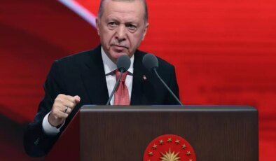 Cumhurbaşkanı Erdoğan: Röportaj adı altında sokaklarda terör estiriyorlar