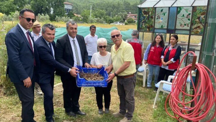 Dalaman’da Çilek ve Salep Hasadına Öğrenciler Katıldı