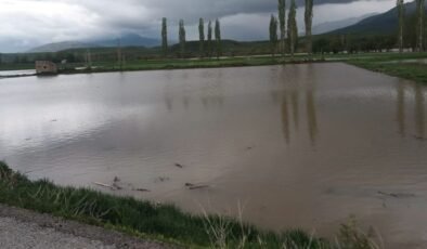Erzincan’da sağanak sonrası bazı tarım arazileri su altında kaldı
