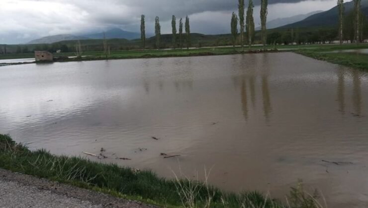 Erzincan’da sağanak sonrası bazı tarım arazileri su altında kaldı