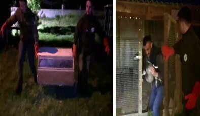 Hayvanat bahçesi gibi ev: Evinden çıkanlar hayrete düşürdü
