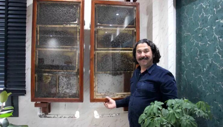 İş İnsanı Hidayet Gülpınar’ın Ofisinde Cam Arı Kovanı