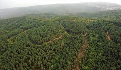 Isparta’da ormanlara girişler yasaklandı