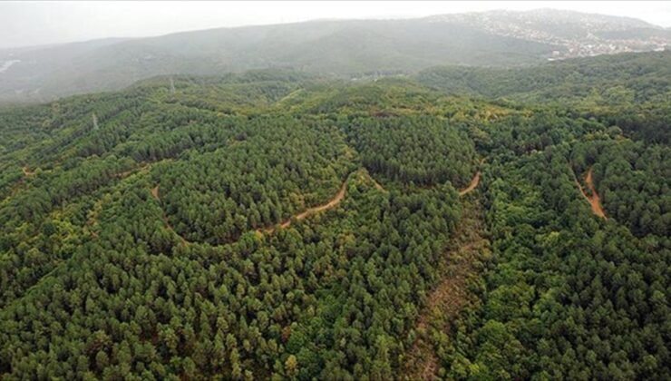 Isparta’da ormanlara girişler yasaklandı