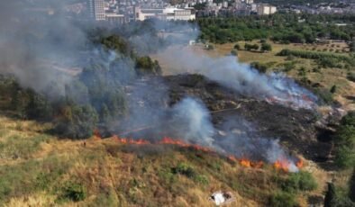 İzmir’de ağaçlık ve otluk alanda yangın çıktı