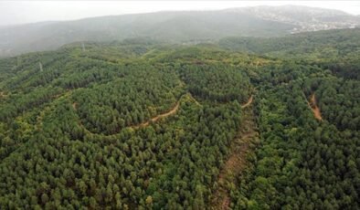Kahramanmaraş’ta ormanlık alanlara girişler yasaklandı