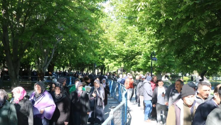 Kayseri’de Domates Fidesi Dağıtımında Yoğun İlgi