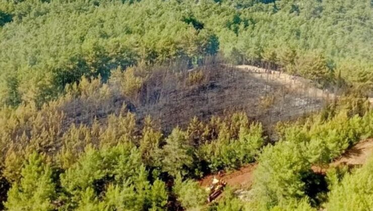 Marmaris’te çıkan orman yangını kontrol altına alındı