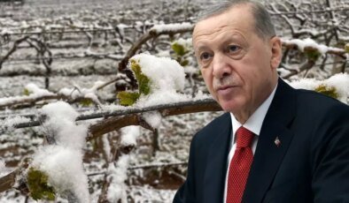 "Bu yıl sıkıntı yaşayacağız" diyen Cumhurbaşkanı Erdoğan, o ürünleri tek tek saydı