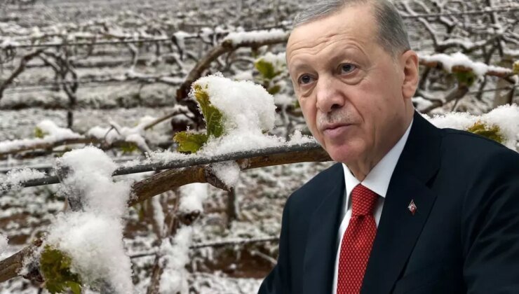 "Bu yıl sıkıntı yaşayacağız" diyen Cumhurbaşkanı Erdoğan, o ürünleri tek tek saydı