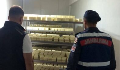 Sakarya’da 5 ton ‘sahte’ kaşar peyniri ele geçirildi